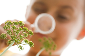 Boy looking at plants through magnifier